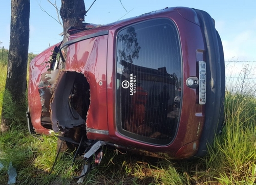 Motorista inabilitado bate carro em árvore e imagem impressiona
