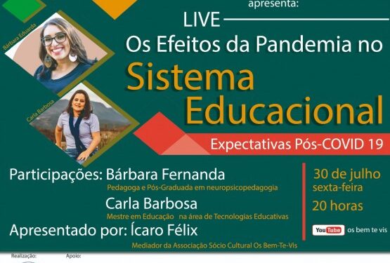 Sistema educacional e efeitos pós pandemia serão temas de live da associação Os Bem-Te-Vis