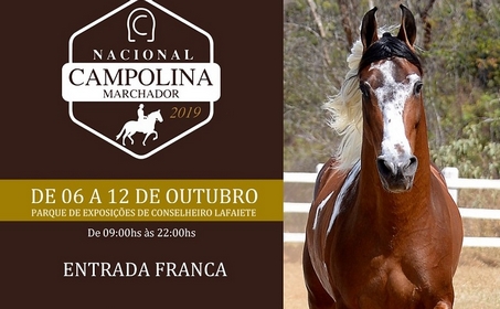 Nacional Campolina movimenta economia de Lafaiete com o melhor da equinocultura do pais