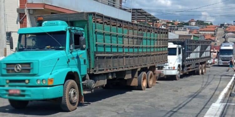 Caminhões transportando gado irregularmente são abordados