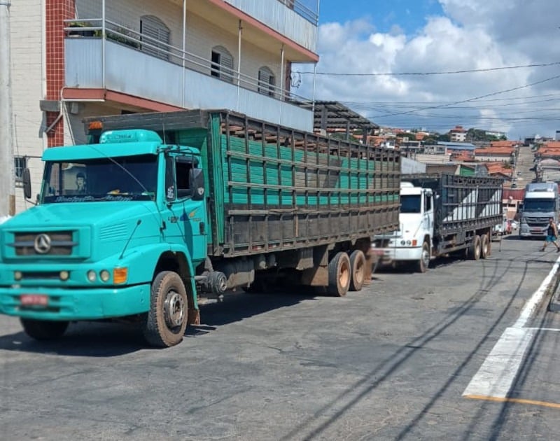 Caminhões transportando gado irregularmente são abordados