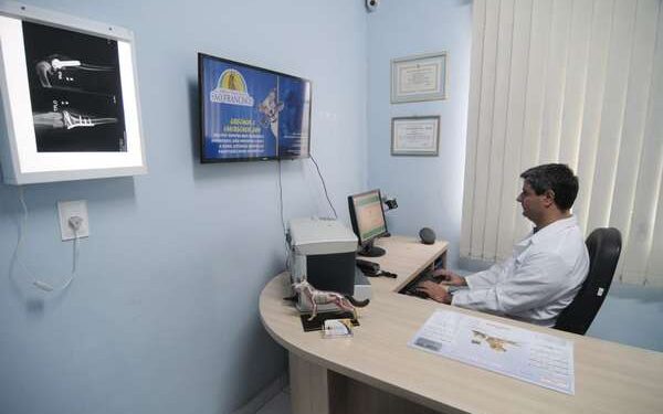 São Francisco: de clínica a hospital veterinário