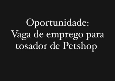 Vaga de emprego para tosador em pet shop