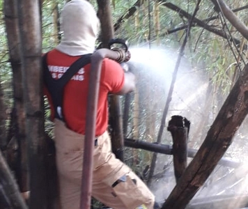 Incêndio em bambuzal ameaça residências e linha férrea