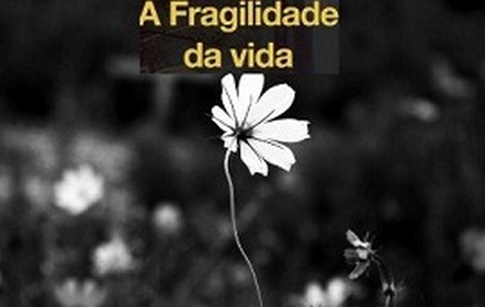 A fragilidade da vida!