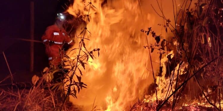 Incêndio atinge área cultural em Barbacena