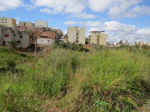 Prefeitura vai fiscalizar e autuar proprietários de lotes irregulares
