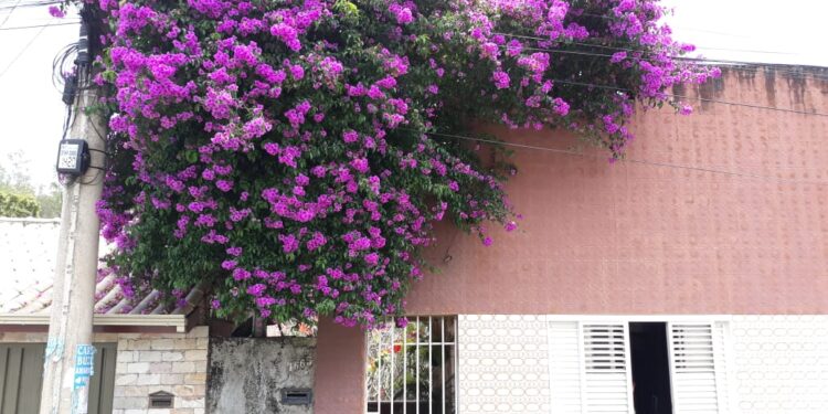Escola de Lafaiete aposta na formação educativa, esportiva e cultural das crianças