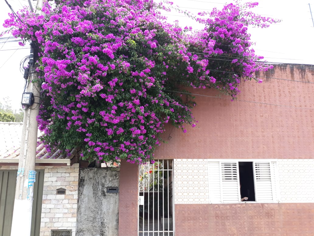 Escola de Lafaiete aposta na formação educativa, esportiva e cultural das crianças