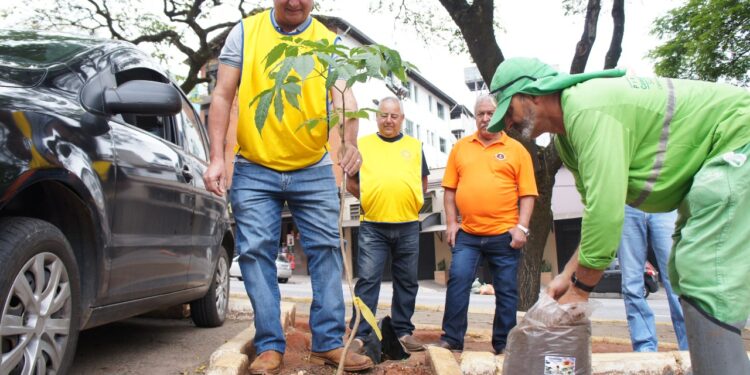 Prefeito participa de plantio de árvore em Lafaiete