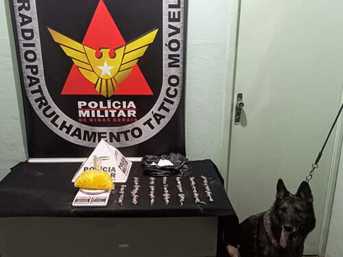 Policiais apreendem drogas no bairro Triângulo