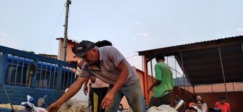 Prefeito de Itaverava ajuda em distribuição de batatas para a população
