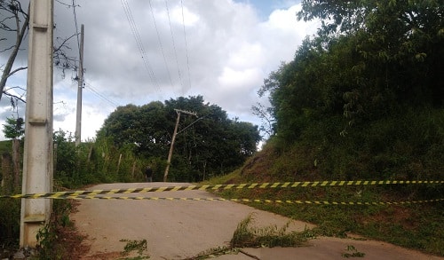 Árvore cai sobre rede elétrica e interdita rua