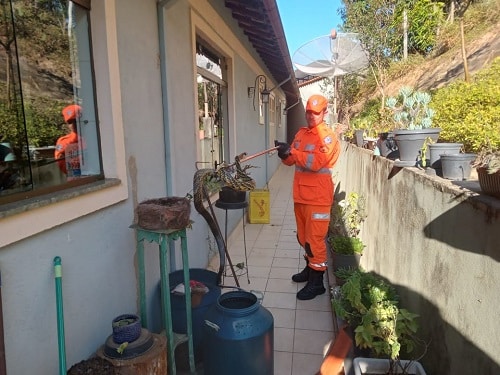 Cobra de grande porte é encontrada dentro de casa em São João del-Rei