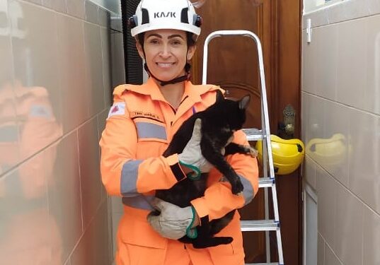 Bombeiros resgatam gata presa cinco dias em telhado
