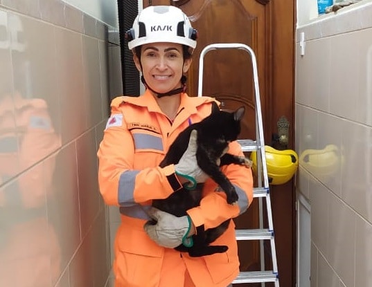Bombeiros resgatam gata presa cinco dias em telhado