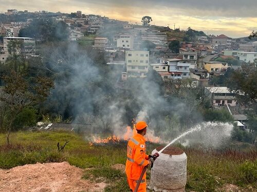 Vegetação pega fogo e bombeiros combatem as chamas