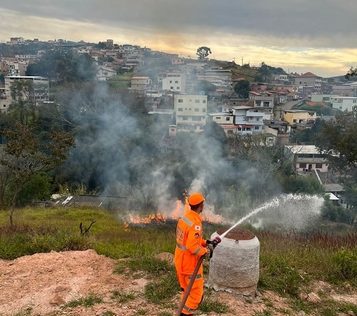 Vegetação pega fogo e bombeiros combatem as chamas