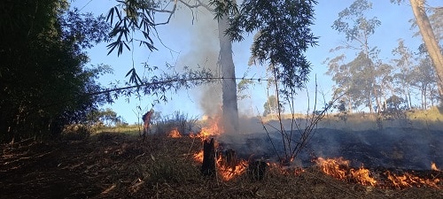 Bombeiros combatem incêndio em vegetação próxima a museu