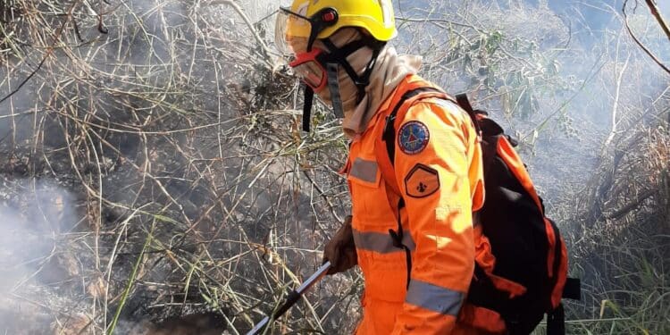 Chamas em vegetação atingem rede elétrica em São João del-Rei