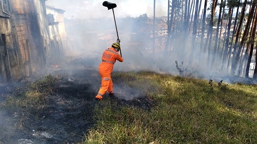 Incêndio atinge pasto em Barbacena