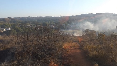 Bombeiros combatem incêndio em vegetação