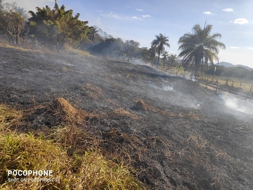 Incêndio em vegetação atinge galpão