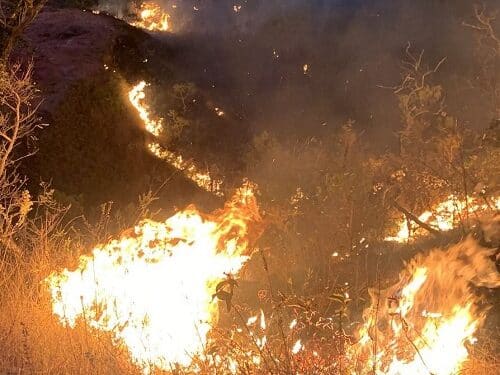 Incêndio de grandes proporções atinge pasto