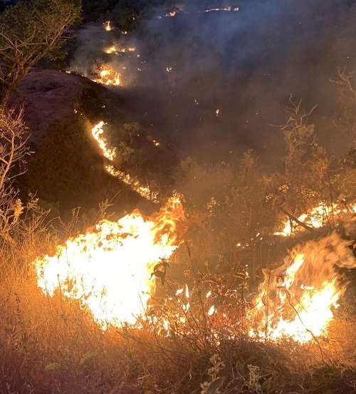 Incêndio de grandes proporções atinge pasto