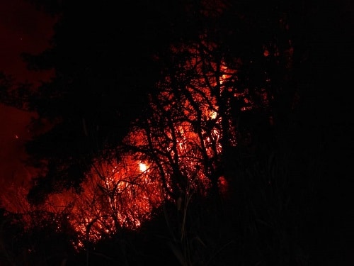 Bombeiros combatem incêndio em área urbana próximo a casa de madeira