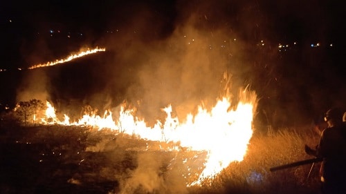 Bombeiros combatem incêndio em vegetação que ameaçava atingir residências