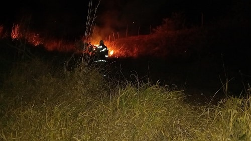 Corpo de Bombeiros combate incêndio em vegetação às margens da BR-265