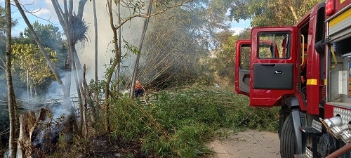 Vegetação às margens de rodovia pega fogo