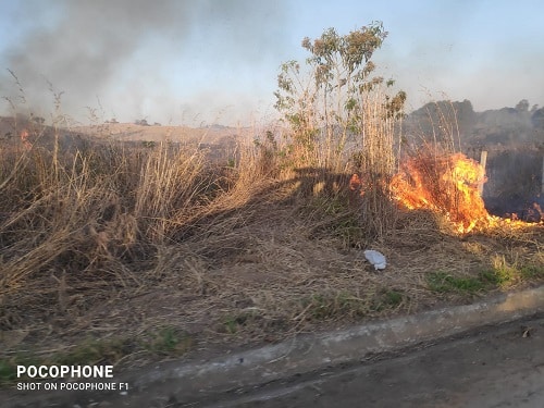 Incêndio queima oito hectares de plantação de aveia