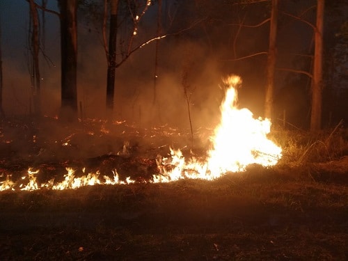 Incêndio de grandes proporções destrói 200 hectares
