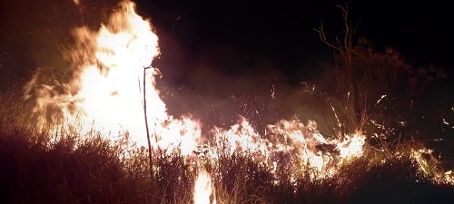 Incêndio às margens da BR-265