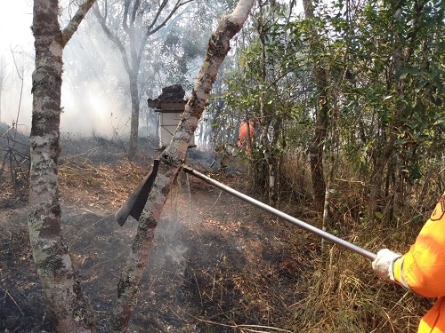 Bombeiros combatem incêndio que ameaçava casas