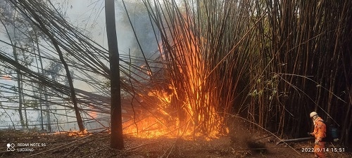 Bombeiros combatem dois incêndios em vegetação