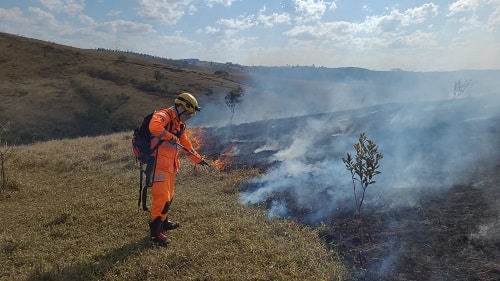 Incêndio de grandes proporções atinge pasto