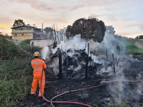Bombeiros combatem cinco grandes incêndios em vegetação durante domingo