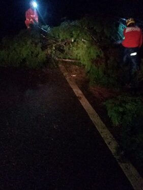 Árvores caem na entrada de Itaverava