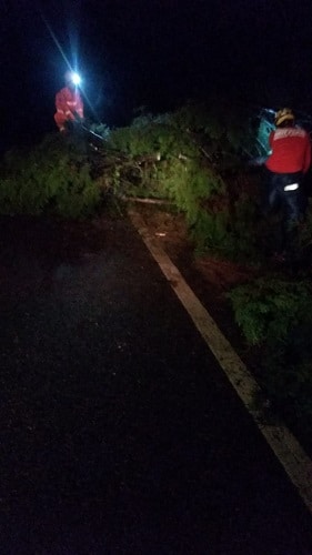 Árvores caem na entrada de Itaverava