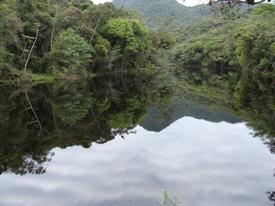 Cidades da região são beneficiadas por programa ambiental da Copasa