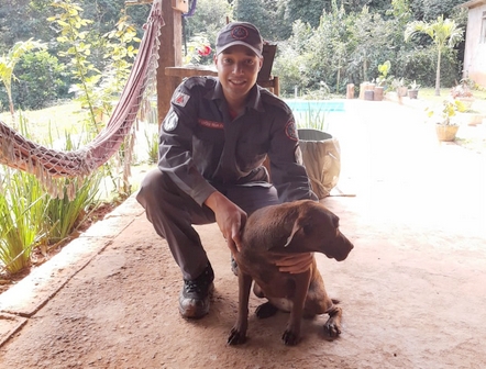 Cão cai em buraco de 28 metros e é resgato ileso por bombeiros