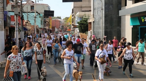 Cãominhada de Inverno bate recorde de participantes e apoiadores