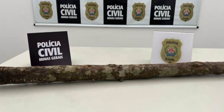 Preso suspeito de tentar matar companheira à paulada