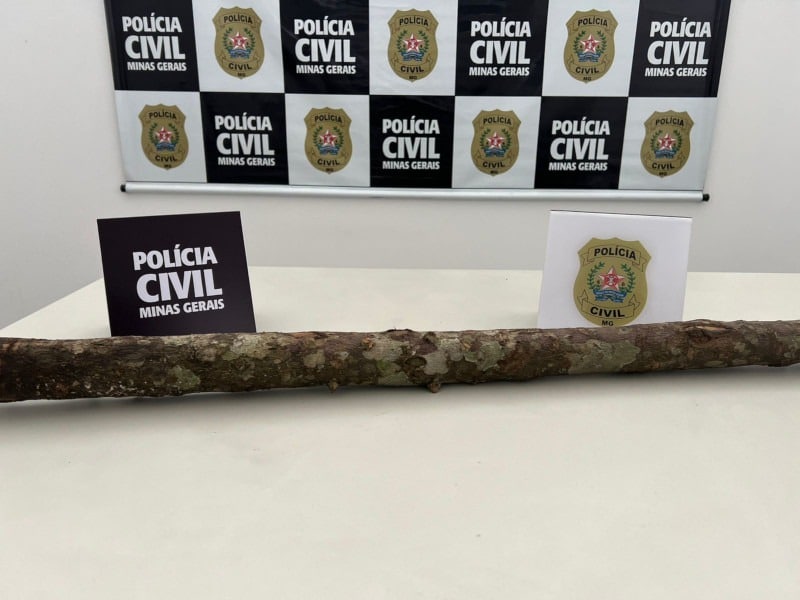 Preso suspeito de tentar matar companheira à paulada