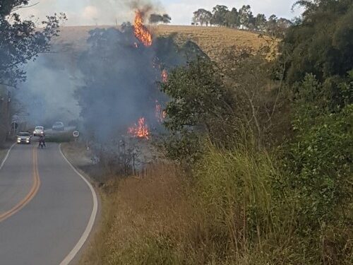 Bombeiros combatem incêndio em bambuzal na MG 482