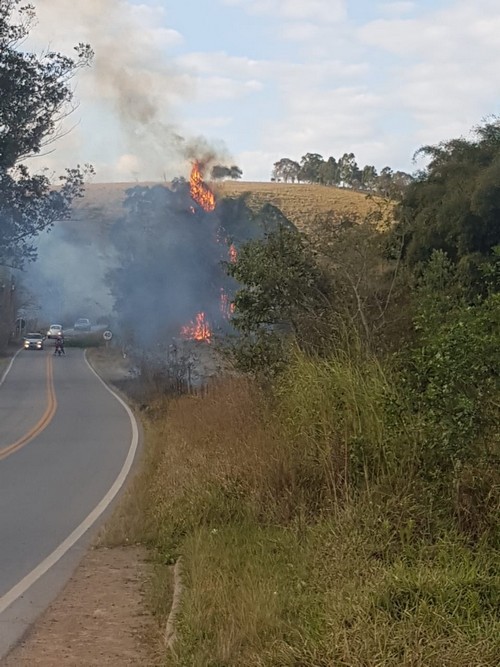 Bombeiros combatem incêndio em bambuzal na MG 482