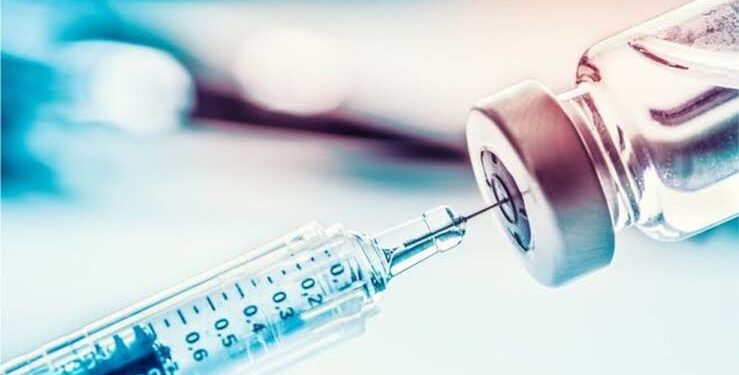 Começa hoje nova fase da campanha de vacinação contra gripe